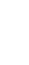 Logo: Polaris